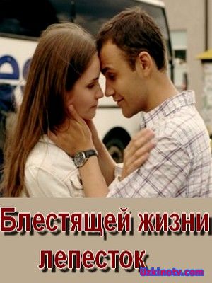 Блестящей жизни лепесток (2017)